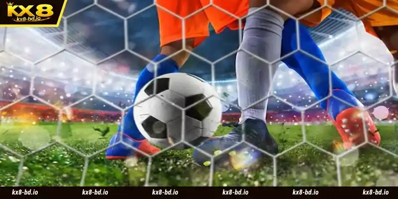 BTI Sports offers you a wide range of entertainment options